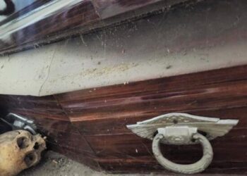 Denuncias y polémica por el estado del Cementerio de La Plata