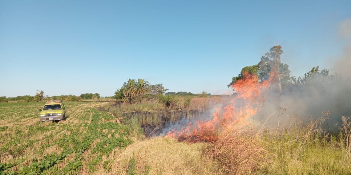 En pocos días hubo 25 incendios de pastizales en nuestra ciudad