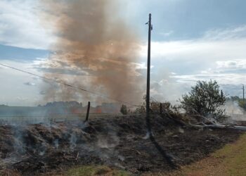 Barrios sin luz por la caída de un árbol