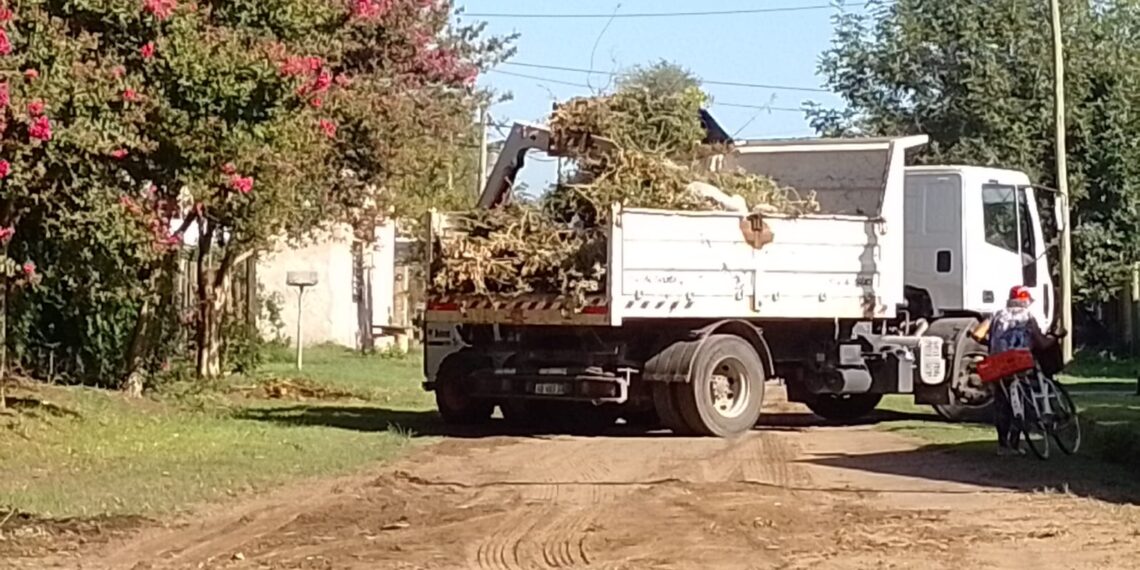 Informe sobre los trabajos de Espacios Públicos en distintos sectores de Junín