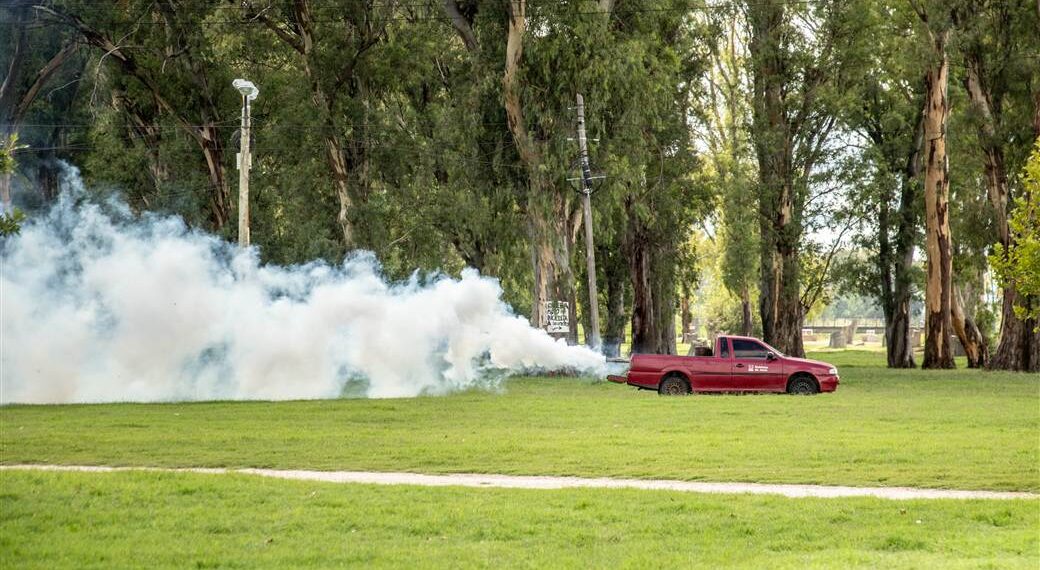 Intensifican operativos de fumigación