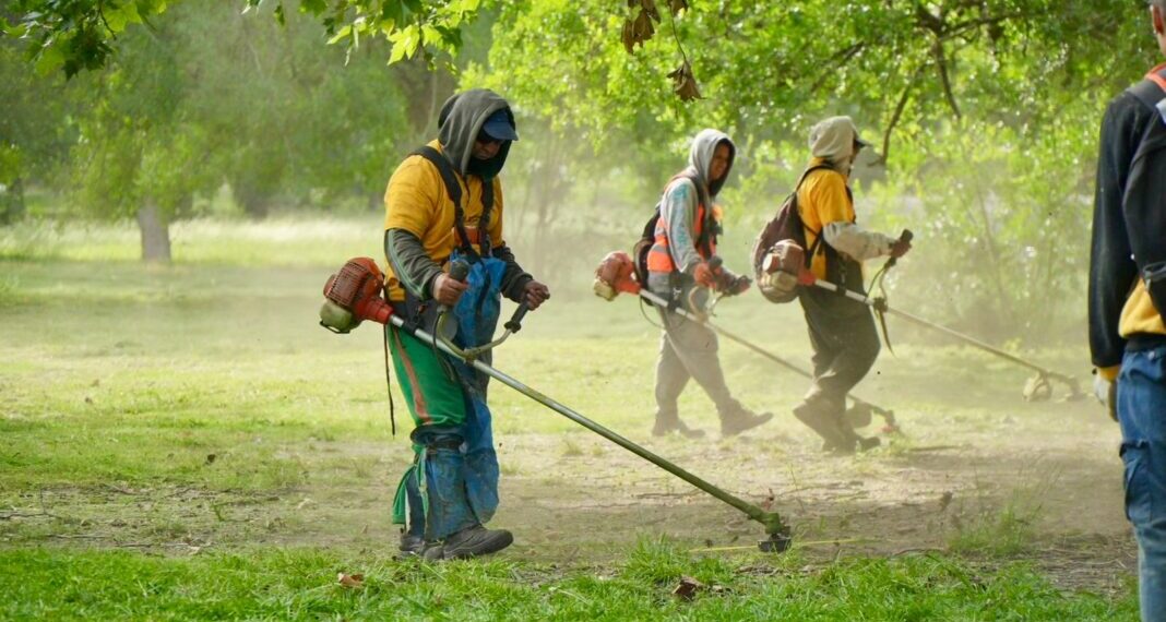 El dengue sigue en aumento en la provincia y ya hay 13 municipios con brotes declarados