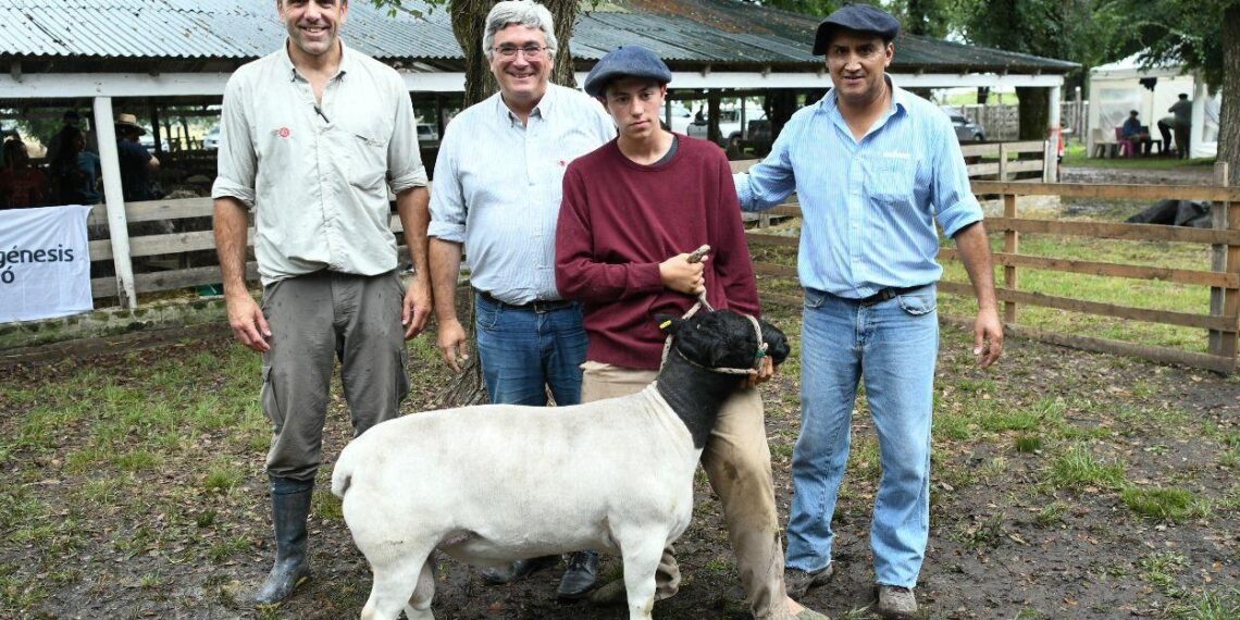 «Seguimos trabajando de forma articulada con el sector privado para impulsar la producción y el consumo de carne ovina»