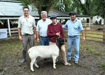 «Seguimos trabajando de forma articulada con el sector privado para impulsar la producción y el consumo de carne ovina»