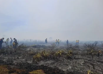 Incendios forestales: extinguen dos focos en las reservas de Punta Lara y Tornquist