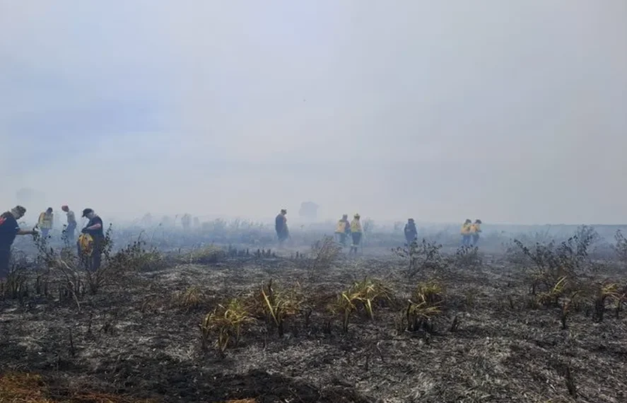 Incendios forestales: extinguen dos focos en las reservas de Punta Lara y Tornquist