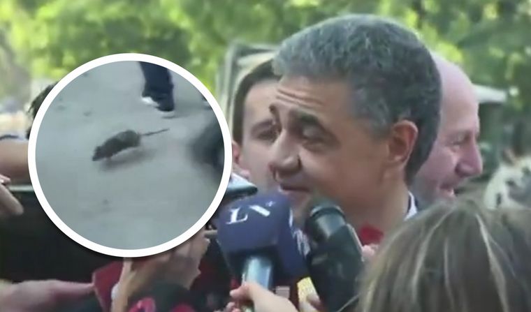 El insólito momento de Jorge Macri: apareció una rata y espantó a todos