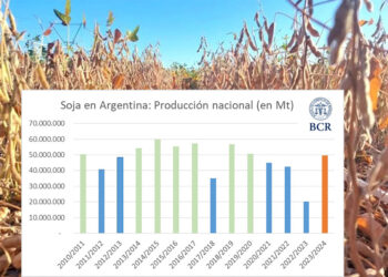 La ola de calor se llevó 2,5 millones de toneladas de soja y 2 millones de maíz