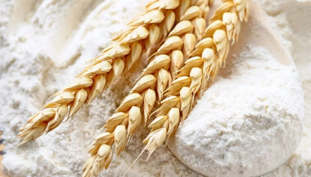 Milei daría de baja al Fondo Estabilizador del Trigo Argentino