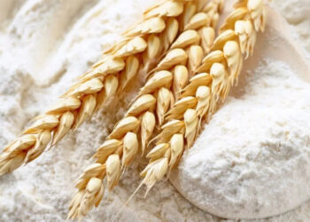 Milei daría de baja al Fondo Estabilizador del Trigo Argentino