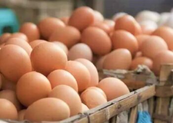 Advierten que podría aumentar el precio de los huevos
