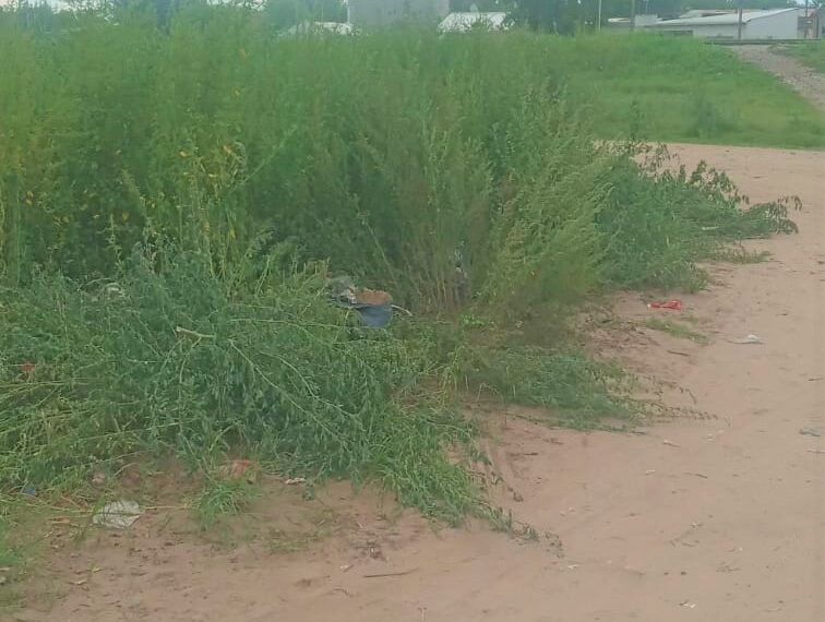 Una esquina peligrosa, otra vez tapada por los yuyos
