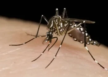 Brasil registraba más de 1,8 millones de casos probables de dengue