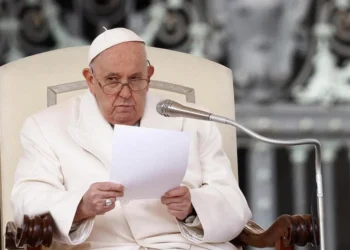 El Papa volvió a condenar la «locura de la guerra»