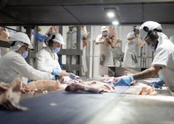 La industria pyme cayó otro 9,9% en febrero y acumula un retroceso de 21,7% en 2024