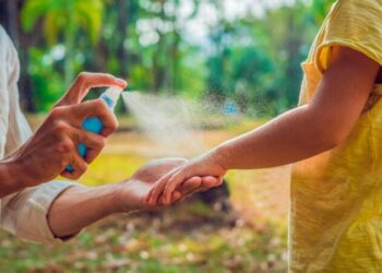 Brote de dengue en 26  municipios bonaerenses