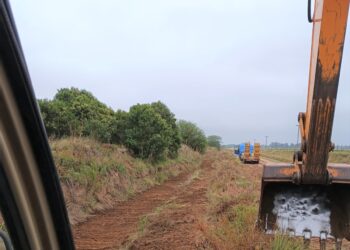 Buscan optimizar el estado  de los caminos rurales