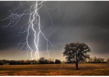 Otra semana gris: alertas por vientos y tormentas para casi toda la provincia