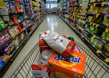 Cuáles son todos los productos y alimentos que se podrán importar con mayor facilidad