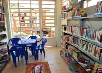 Las bibliotecas bonaerenses fueron excluidas de un programa nacional y no podrán adquirir libros con descuento