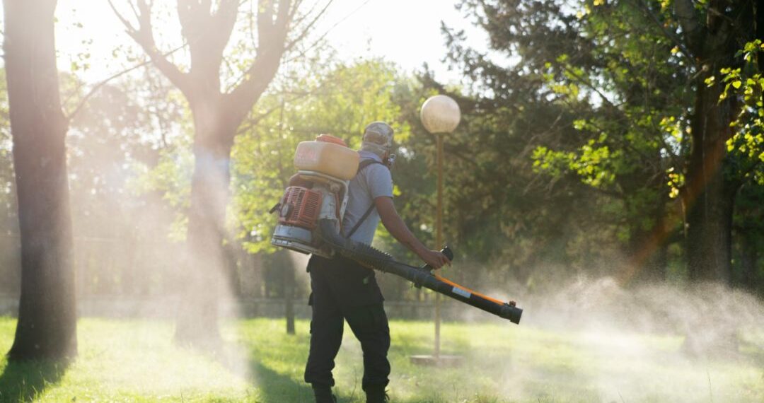 Dengue en la provincia: 41 municipios en brote, más de 35 mil casos y 25 personas fallecidas