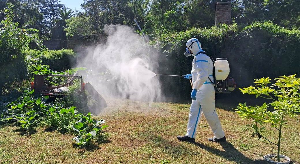 Más acciones preventivas y de control del dengue
