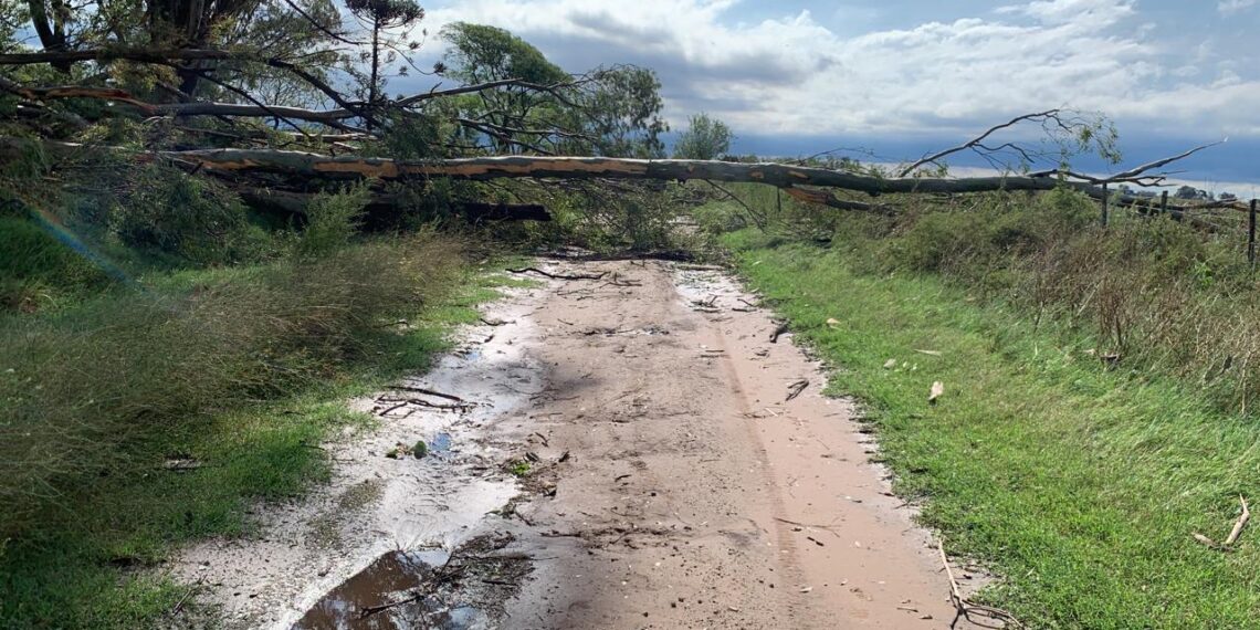 Una tormenta supercelda provocó destrozos en el interior de Buenos Aires