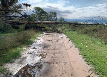 Una tormenta supercelda provocó destrozos en el interior de Buenos Aires
