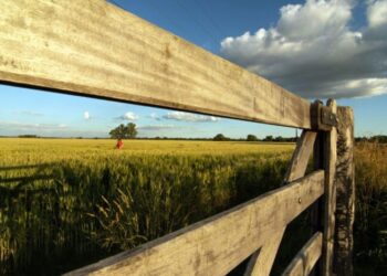 La Mesa de Enlace bonaerense pidió prórroga en la cuota del Inmobiliario Rural