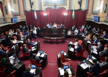 El Senado bonaerense declaró personalidad destacada a Taty Almeida y definió nuevas autoridades