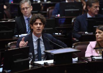 Lousteau: «El DNU es inconstitucional»