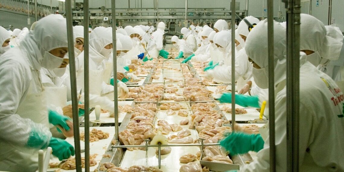 Argentina logró la reapertura del mercado  de productos avícolas al Reino Unido