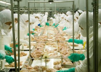 Argentina logró la reapertura del mercado  de productos avícolas al Reino Unido