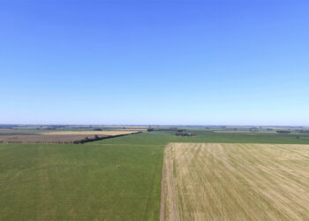 Judicializaron la Tasa y ahora el juez ordenó pagar el 50%