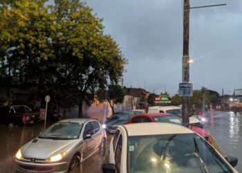 Alerta en toda la provincia por fuertes tormentas: calles intransitables, y postes y árboles caídos