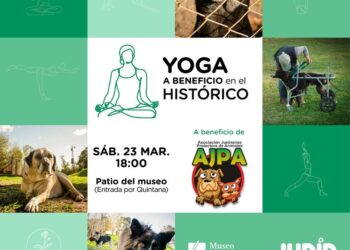 Yoga en el Museo Histórico, a beneficio del Refugio de AJPA