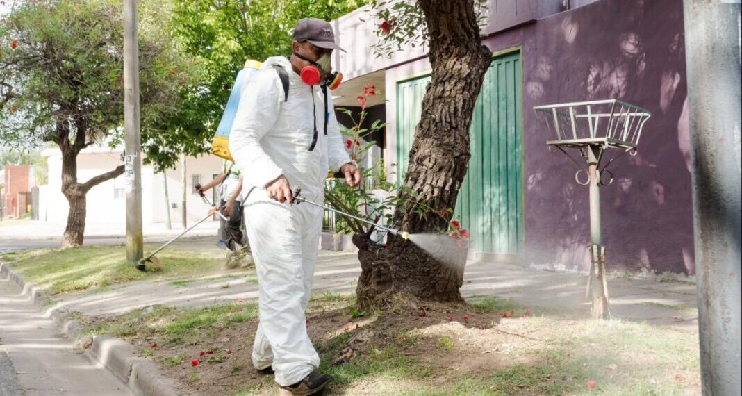 Los casos de dengue superan los 78 mil  en la provincia y hay 56 municipios en brote