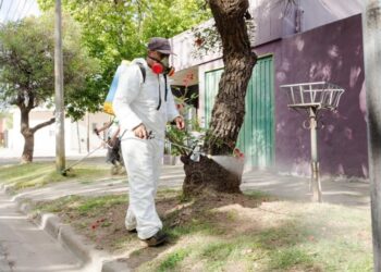 Los casos de dengue superan los 78 mil  en la provincia y hay 56 municipios en brote