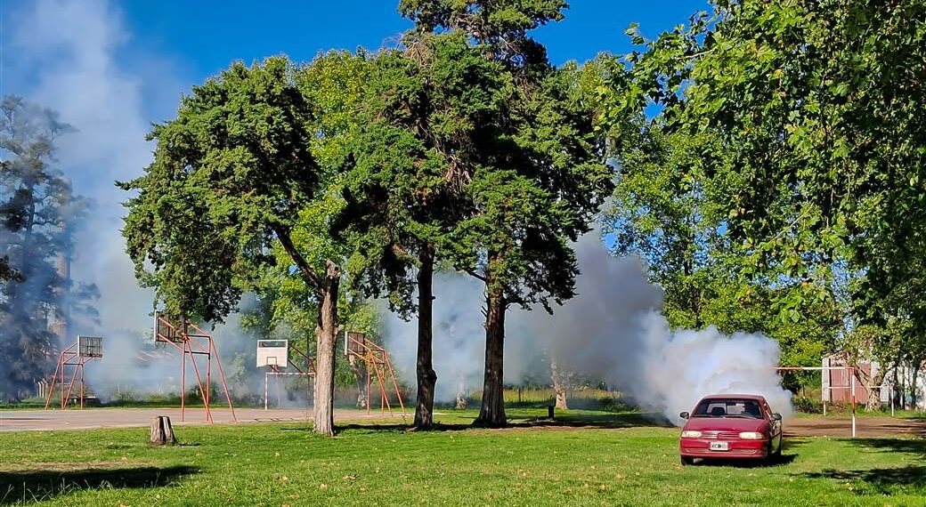 Dengue: el Municipio profundiza sobre las acciones preventivas