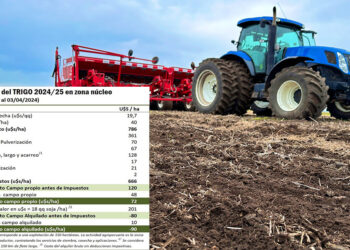 Trigo: en campo alquilado se van  a perder hasta US$ 90 por hectárea