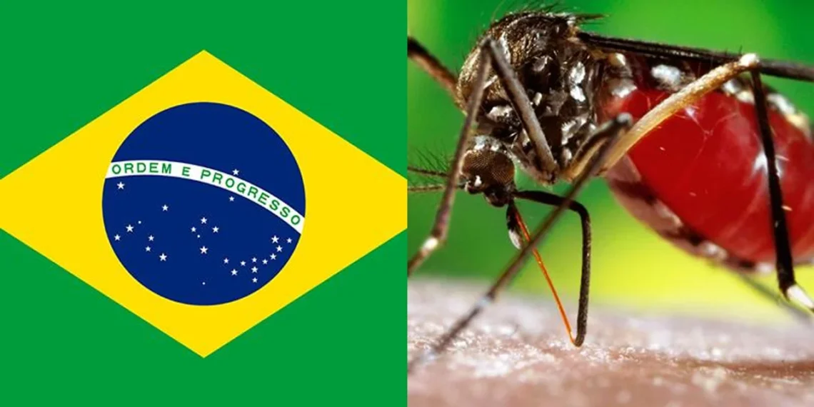 Brasil batió su récord histórico de  muertes por dengue en un año