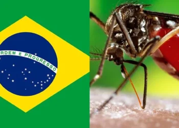 Brasil batió su récord histórico de  muertes por dengue en un año