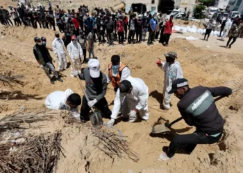 Un alto comisionado se declaró «horrorizado» por las  fosas comunes en hospitales de Gaza