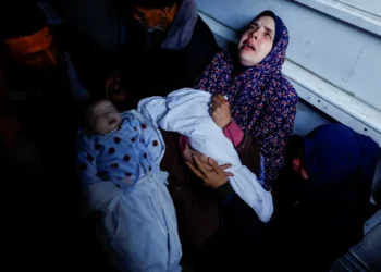 «Gaza es el primer genocidio mostrado en directo al mundo», denunció la ONU