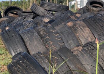 El Municipio recolectó 14 toneladas  de neumáticos en desuso
