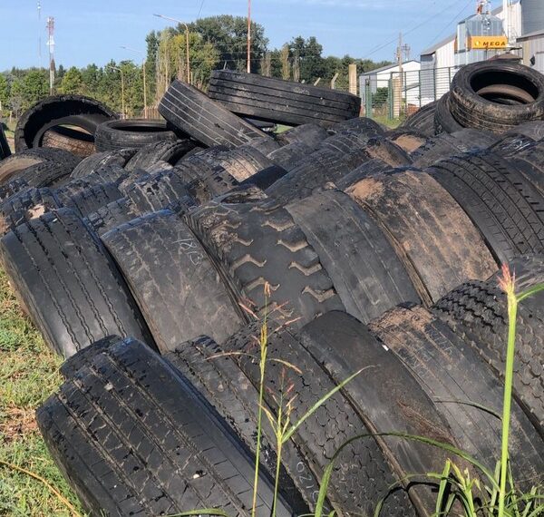 El Municipio recolectó 14 toneladas  de neumáticos en desuso
