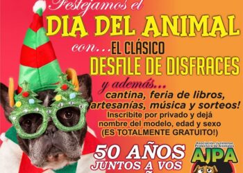 La Asociación Juninense de Protección de Animales festeja sus 50 años