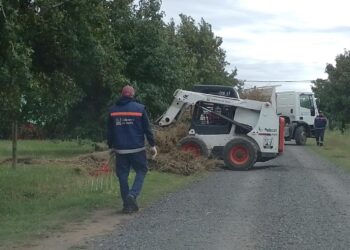Trabajos del Municipio en diferentes sectores de Junín