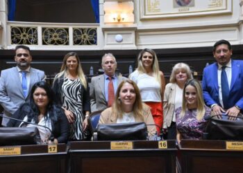 Un bloque de diputados libertarios apoyó el reclamo por la educación pública