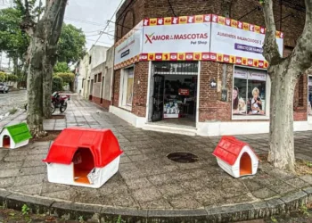 Amor x las Macotas